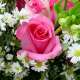 fiore
