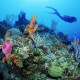 Dimensione SUB