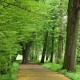 Parco