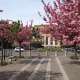 Biella Primavera