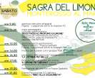 Sagra del Limone 2013