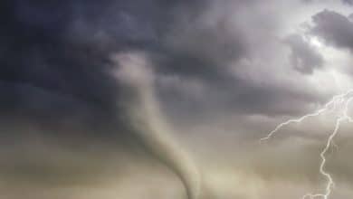 Centro Operativo Comunale