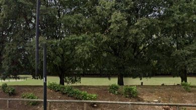 Parco Dalla Chiesa Cinisello Balsamo