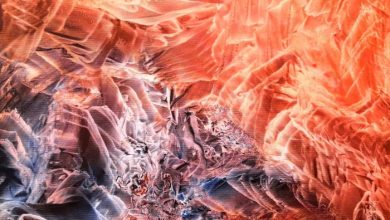 Confluenze contemporanee, a cura di Denis Jovanovic Romagnoli