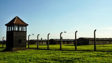 Cinisello Balsamo commemorazione Giorno della memoria