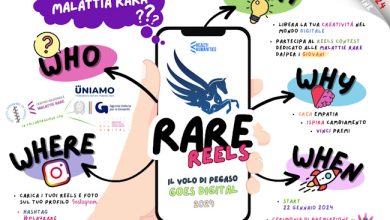 Il Volo di Pegaso infografica