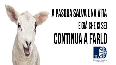 A Pasqua salva una vita