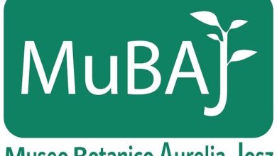 Aperture estive straordinarie MuBAJ