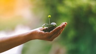 Agroecologia progetto riflAEssi