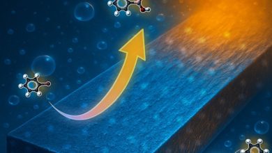 Catalizzatore a singolo atomo