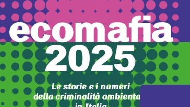 Ecomafia 2025