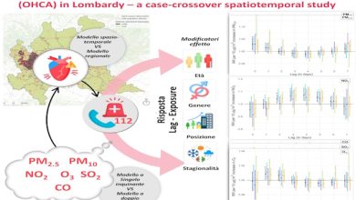 legame smog arresto cardiaco studio del PoliMI