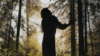 Terapia forestale assistita