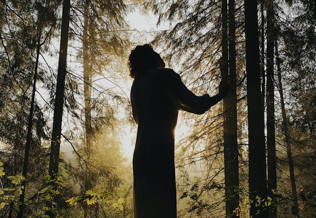 Terapia forestale assistita