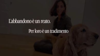 spot Polizia di Stato contro abbandono animali