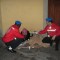 City-Angels-Milano City-Angels-Milano