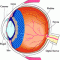 Oculistica