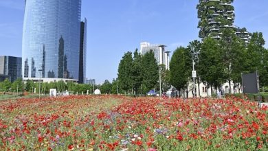 Garante del Verde Milano