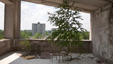 Museo di Storia Naturale mostra Chernobyl