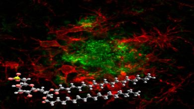 Sulfavant A molecola smart