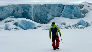 Svalbard neve artica