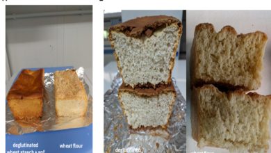 grano gluten free