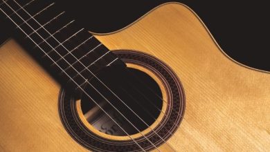 JAZZaltro chitarra gipsy