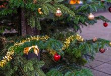 Natale degli Alberi