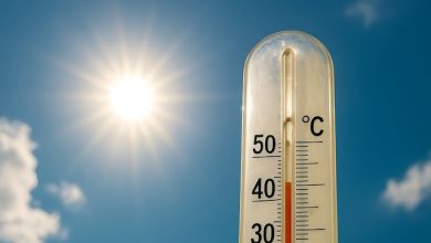 caldo estremo colpisce anche le imprese