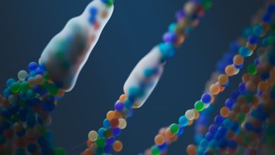 DNA distrofia di Duchenne
