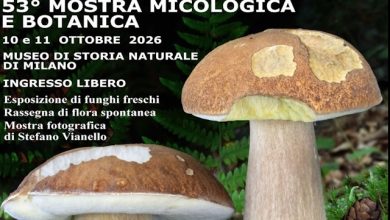 Mostra Micologica e Botanica Museo di Storia Naturale di Milano